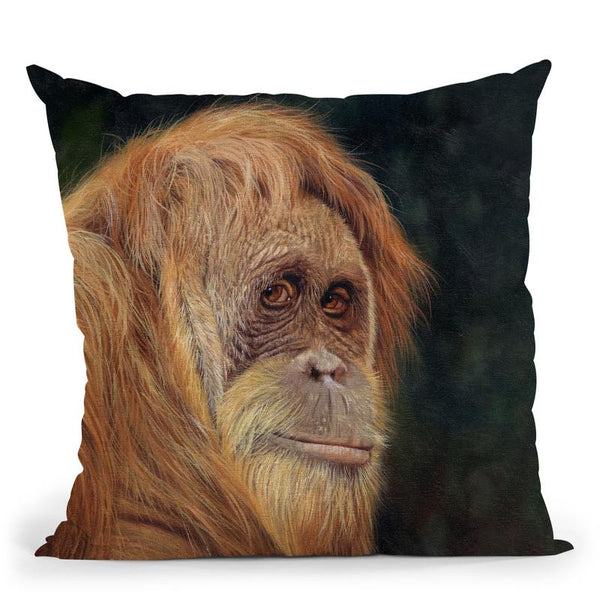 Orangutan Throw Pillow By David Stribbling