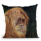 Orangutan Throw Pillow By David Stribbling