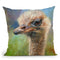 Ostrich Throw Pillow By David Stribbling