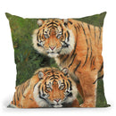 Pair Of Sumatran Tigers Throw Pillow By David Stribbling