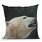 Polar Bear Portrait Throw Pillow By David Stribbling