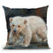 Polar Bear Throw Pillow By David Stribbling