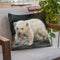 Polar Bear Throw Pillow By David Stribbling