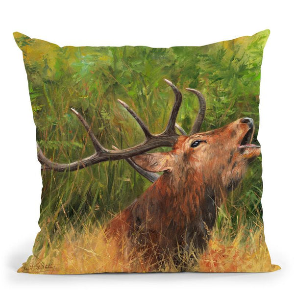 Red Deer Calling Throw Pillow By David Stribbling