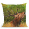 Red Deer Calling Throw Pillow By David Stribbling