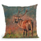Red Deer Ii Throw Pillow By David Stribbling