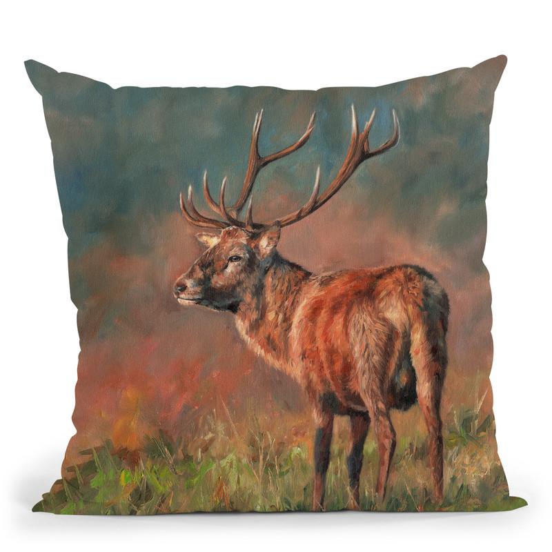 Red Deer Ii Throw Pillow By David Stribbling