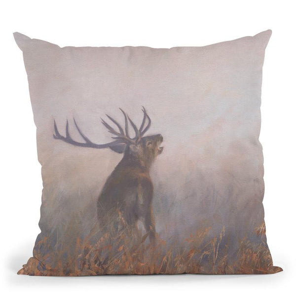 Red Deer Misty Morning Throw Pillow By David Stribbling