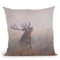 Red Deer Misty Morning Throw Pillow By David Stribbling