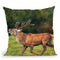 Red Deer Running Throw Pillow By David Stribbling
