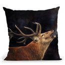 Red Deer Winter Breath Throw Pillow By David Stribbling