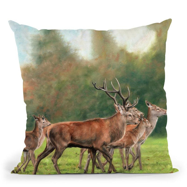 Red Deer Throw Pillow By David Stribbling