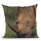 Rhino And Oxpecker Bird Throw Pillow By David Stribbling