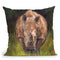 Rhino I Throw Pillow By David Stribbling