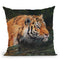 River Crossing I Throw Pillow By David Stribbling