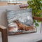 Sea Lion Throw Pillow By David Stribbling