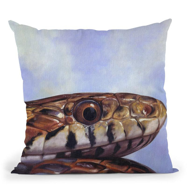Snake Throw Pillow By David Stribbling