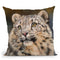 Snow Leopard Iii Throw Pillow By David Stribbling