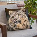 Snow Leopard Iii Throw Pillow By David Stribbling