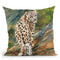 Snow Leopard Cub Throw Pillow By David Stribbling