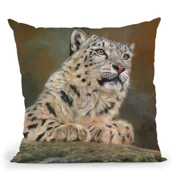Snow Leopard Rock Throw Pillow By David Stribbling