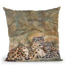 Snow Leopards I Throw Pillow By David Stribbling