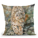 Snow Leopard I Throw Pillow By David Stribbling