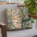 Snow Leopard I Throw Pillow By David Stribbling