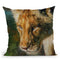Young Lion Looking Down Throw Pillow By David Stribbling