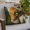 Young Lion Looking Down Throw Pillow By David Stribbling