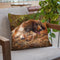 Springer Throw Pillow By David Stribbling
