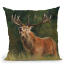 Stasg Throw Pillow By David Stribbling