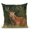 Stasg Throw Pillow By David Stribbling