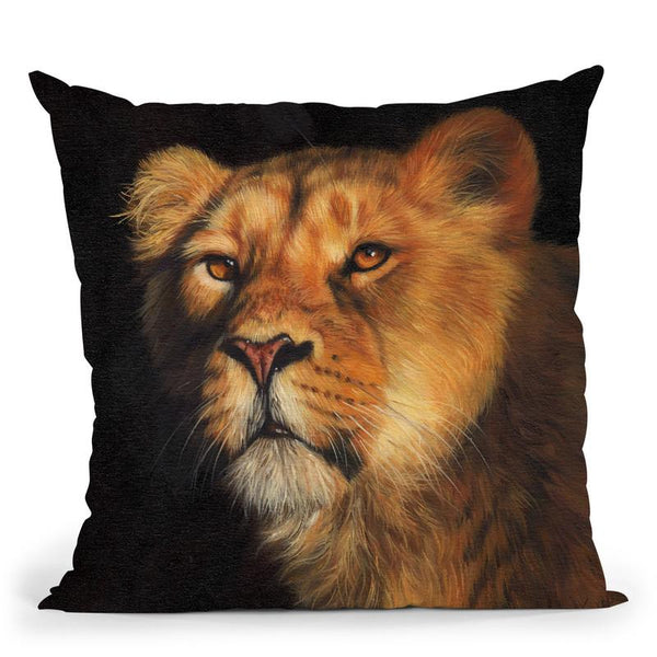 Study Of A Lioness Throw Pillow By David Stribbling