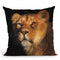 Study Of A Lioness Throw Pillow By David Stribbling