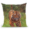 Sumatran Tiger Running Throw Pillow By David Stribbling