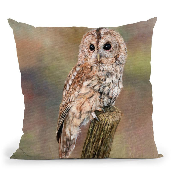 Tawny Owl Throw Pillow By David Stribbling