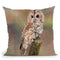Tawny Owl Throw Pillow By David Stribbling