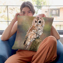 Tawny Owl Throw Pillow By David Stribbling
