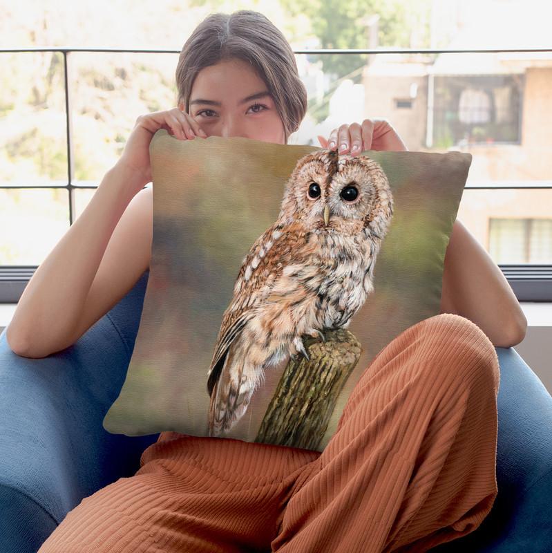 Tawny Owl Throw Pillow By David Stribbling