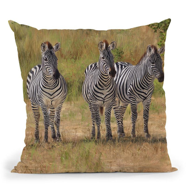 Three Zebras South Luangwa Throw Pillow By David Stribbling