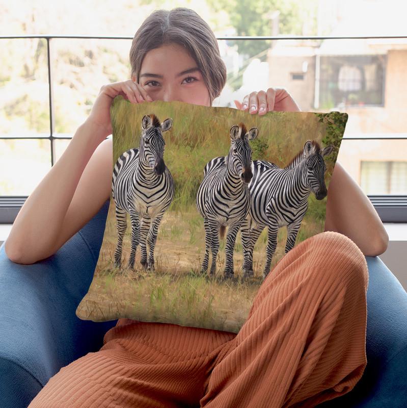 Three Zebras South Luangwa Throw Pillow By David Stribbling