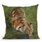 Tiger At Waters Edge Throw Pillow By David Stribbling