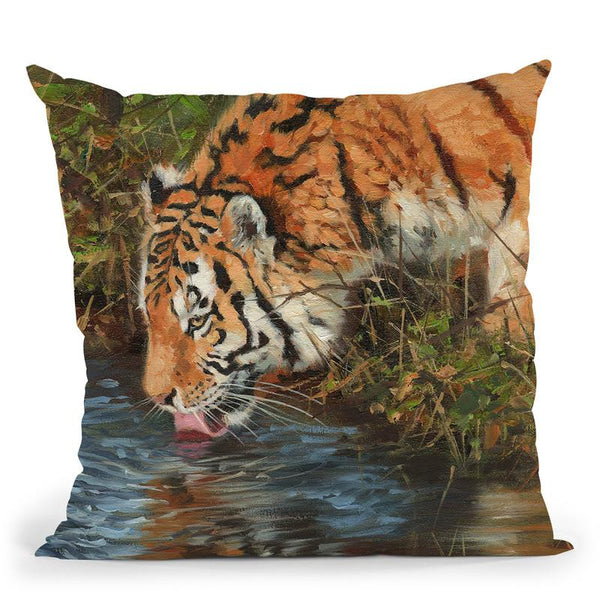 Tiger Drinking Throw Pillow By David Stribbling