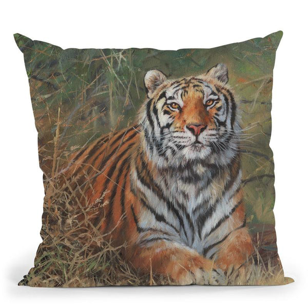 Tiger In Bush Throw Pillow By David Stribbling