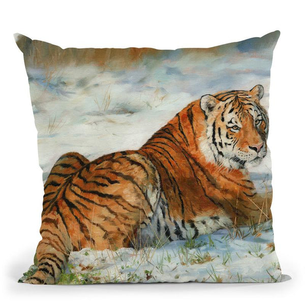 Tiger In Snow Throw Pillow By David Stribbling