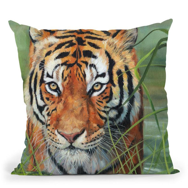Tiger Iv Throw Pillow By David Stribbling
