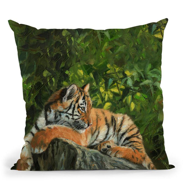 Tiger On Rock Throw Pillow By David Stribbling