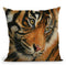 Tiger Portrait Ii Throw Pillow By David Stribbling