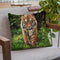 Tiger Prowl Throw Pillow By David Stribbling